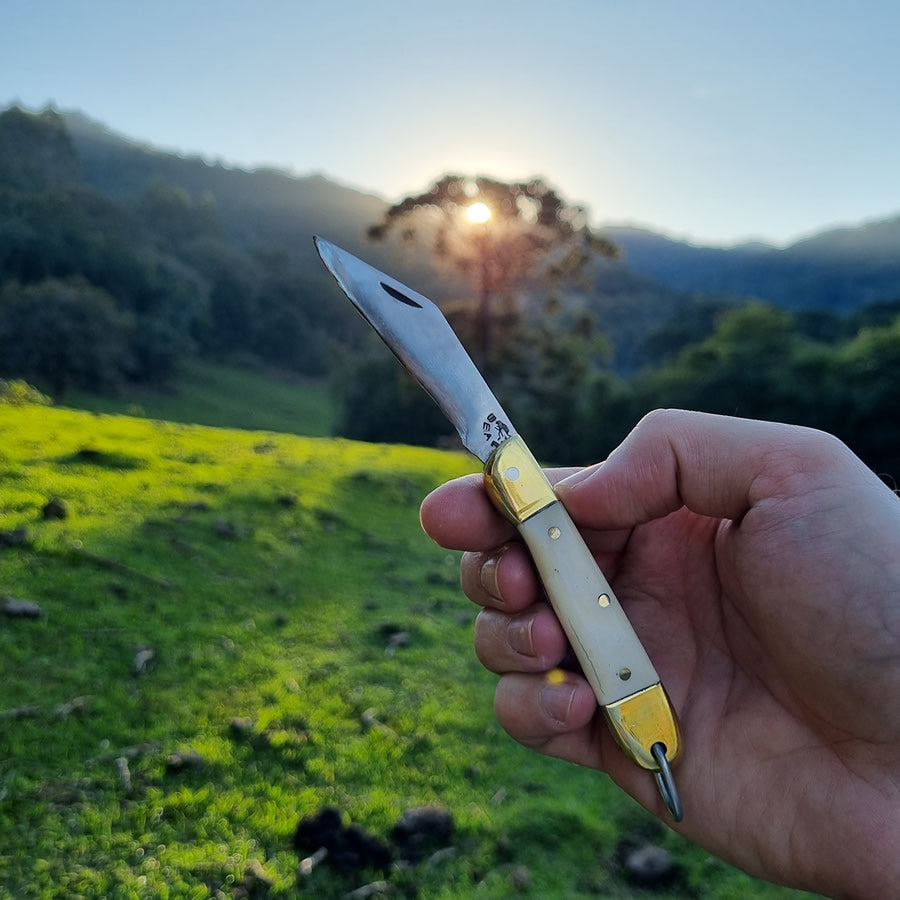 Furbem - Canivete de bolso modelo Patagonia com cabo em osso e lâmina forjada em aço inox.