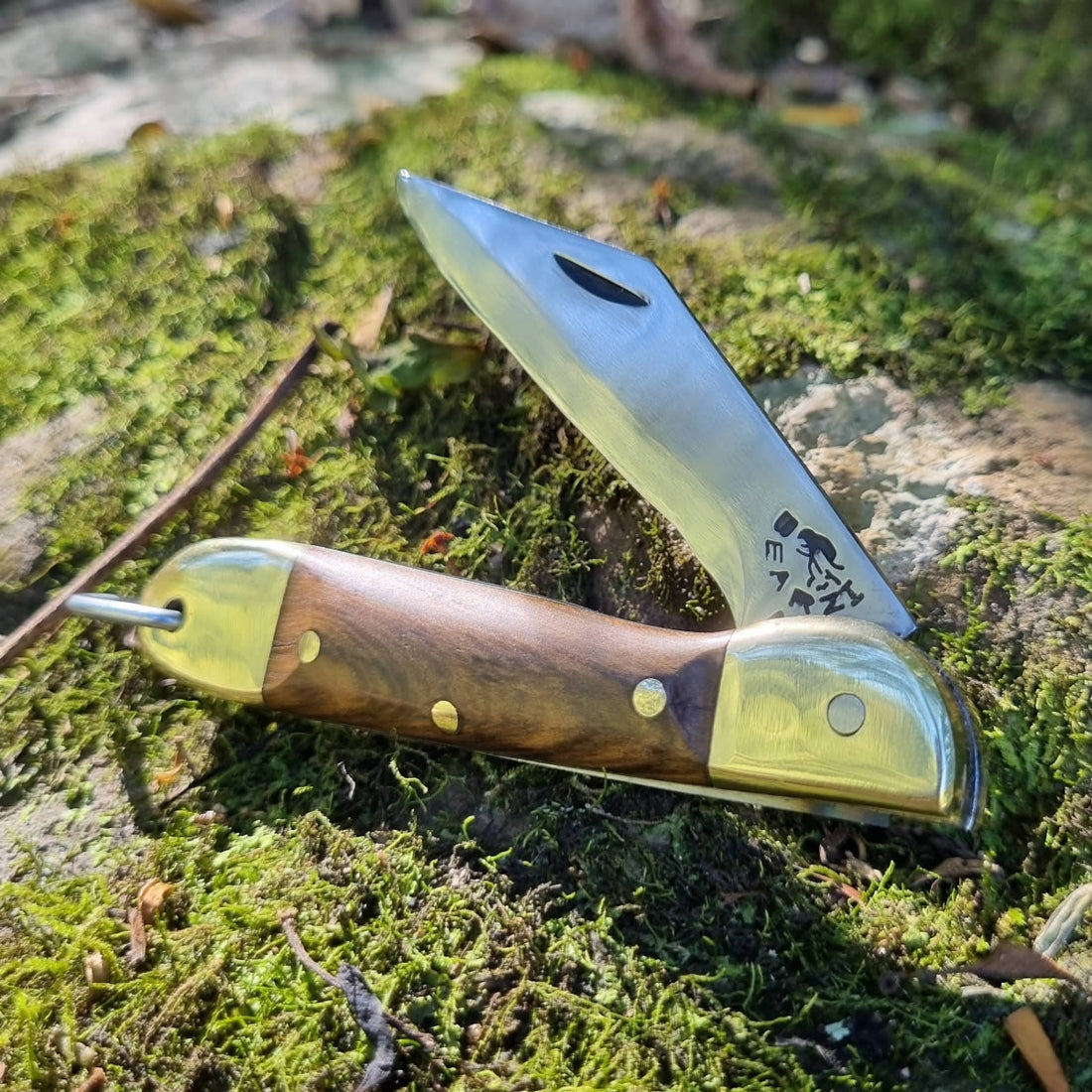 Furbem - Canivete modelo Patagonia com cabo em madeira e lâmina forjada em aço inox.