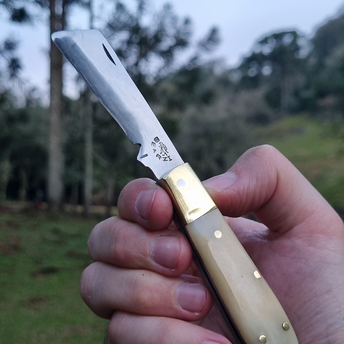 Canivete tradicional modelo Biscaro cabo de osso